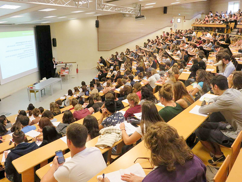 Qu’est-ce qu’on apprend dans une école de management ?